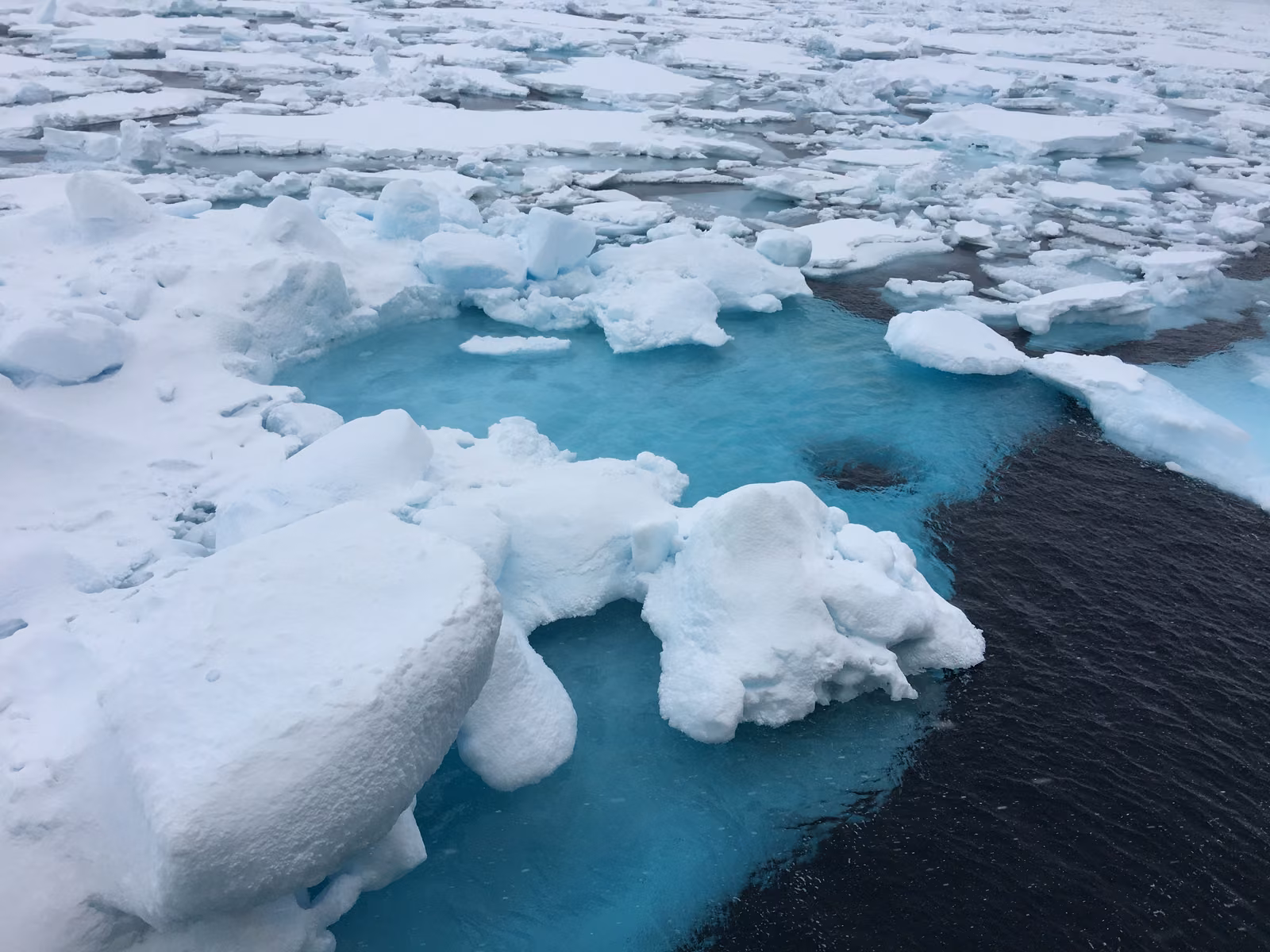 Turquoise meltwater pooled among broken sea ice