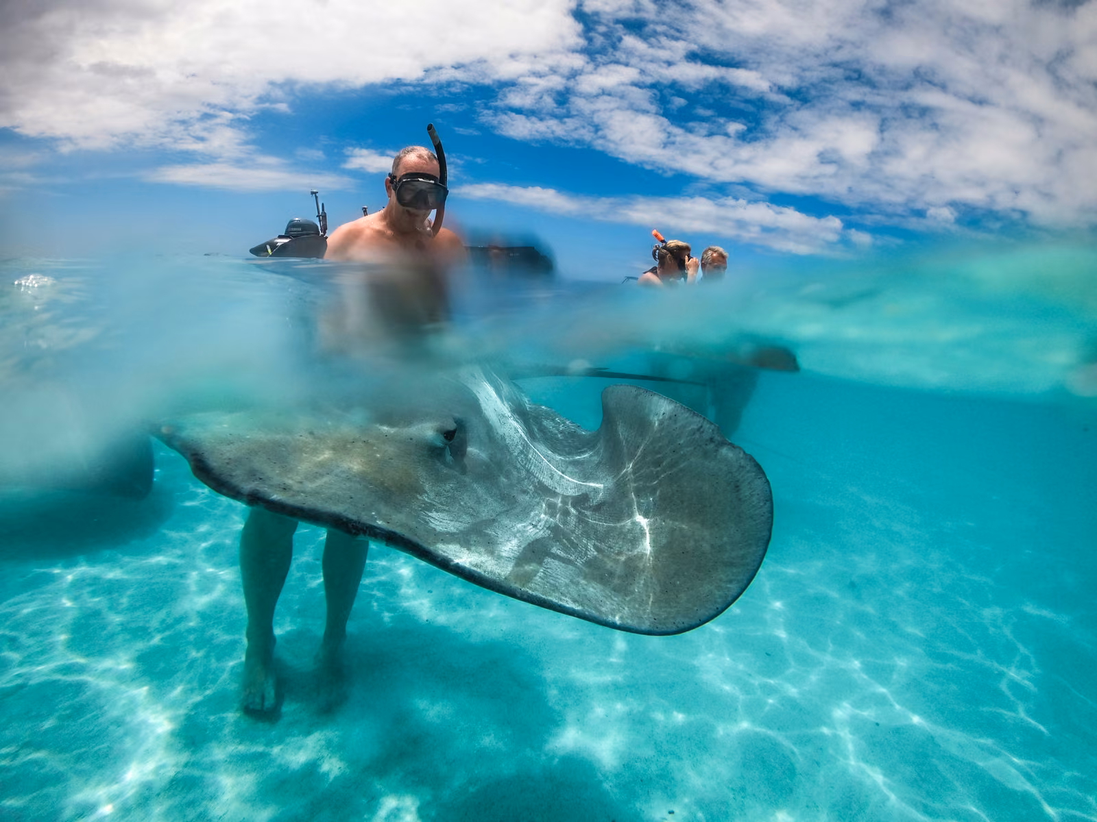 Wildlife, sky, underwater, Portland, Oregon